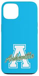 iPhone 13 Retro Asheville Land of the Sky Case