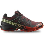 Baskets Salomon  Speedcross 6