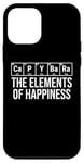 iPhone 12 mini Capybara The Elements Of Happiness Periodic Table Funny Case