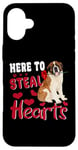 iPhone 16 Plus Here To Steal Hearts Funny St Bernard Dog Valentines Day Case