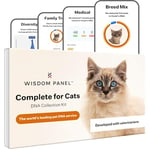 Wisdom Panel Complete: Comprehensive Cat DNA Test for 45 Health Genetic Health Conditions | 70+ Breeds and populations | 25+ Traits | Blood Type