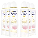 Dove Womens Advanced Care Antiperspirant Deodorant Spray 72H, Calming Blossom, 200 ml, 6 Pack - Apple - One Size