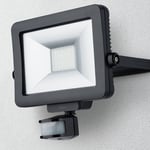 Theben theLeda B30L LED-kohdevalaisin ulos musta