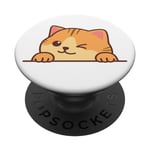 Cute Orange Cat Winking Its Eye PopSockets Swappable PopGrip