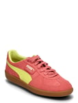 PUMA Palermo Korall