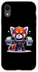 iPhone XR Kawaii Red Panda Weightlifting Funny Fitness Gym Case