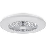 Philips Amigo Flat Fan Ceiling IR RD 25W+60W -tuuletinvalaisin, valkoinen