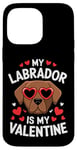 iPhone 14 Pro Max Chocolate Labrador My Valentines Hearts Day Dog Mom Dad Case