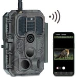 Meidase P200 Caméra de Chasse WiFi App 48MP 1296P H.264 Vdéo avec 30m No Glow Infrarouge Vision Nocturne, Piège à Caméra de Jardin, Caméra Extérieure