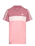 Lk 3S Tib T Pink Adidas Sportswear