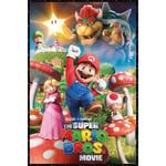 1000 Piece Jigsaw Puzzle Super Mario Brothers Mushroom Kingdom (50 x 75cm) FS