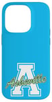 iPhone 14 Pro Retro Asheville Land of the Sky Case