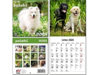 Kalender 2025 För Barn 16X32 13 Tavlor Hundar