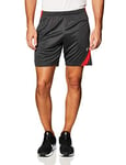 Nike Men's Dri-fit Academy Shorts