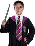 Rubies - Harry Potter costume accessories: wand and glasses