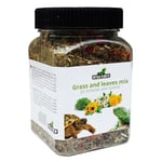 REPTILES PLANET - Grass and Leaves - Complément Alimentaire pour Lézards et Tortues - 150 g