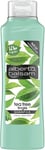 Alberto Balsam Shampoo Tea Tree Tingle 360ml