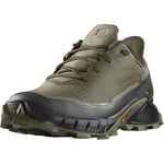 Salomon Men's Alphacross 5 Gore-Tex Running Shoe, Olive Night/Black/Deep Lichen Green, 10 UK