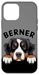 Coque pour iPhone 12 mini Adorable chien bernois de montagne bernois qui regarde un chiot berner