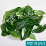 Curry Leaves, Kadi Pata - Fresh & Premium *Grade A*  - Free First Class P&P