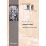 Telemann G.P. - Trio Sonata C Minor TWV 42:C5