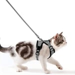 Wdmiya Harnais Chat Anti-évasion Harnais Chaton Laisse pour Chaton Anti Fugue Arnet Chat Réglable Harnet Chaton Respirant Colliers, Harnais et Laisses pour Chats,Petit Chien,Lapin