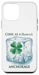 Coque pour iPhone 12 mini Des racines irlandaises en Alaska : un point d'ancrage aussi cool qu'un trèfle