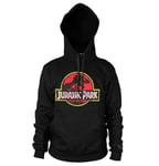 Jurassic Park Distressed Logo Hoodie, Hoodie