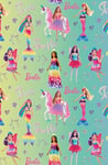 Barbie Wrapping Paper, Barbie Gift Wrap, Barbie Roll Wrap, Green and Pink