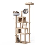 Mondeer Arbre à Chat en Bois, 2 Maisons et 7 Plateformes pour Les Chats Geants, avec Coussins en Peluche Amovibles et Cabine Spatiale Transparente, Style Moderne, 82 × 70 × 185 CM