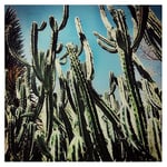 DRW Tableau en Verre trempé avec Cactus 80 x 80 x 0,4 cm, Multicolore