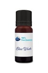 Recharge Blue Wash - 100% Essence pure pour les Balles de Séchage en Laine