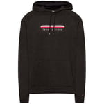 Sweat-shirt Tommy Hilfiger  SWEAT A CAPUCHE Homme Oh Hoodie