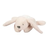 Nattou Veilleuse LED Koala Bear, Projecteur de ciel étoilé, 3 couleurs LED, 5 sons et chansons, Peluche/Polyester, 26 cm, Beige