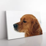 Big Box Art Golden Retriever Dog Canvas Wall Art Print Ready to Hang Picture, 76 x 50 cm (30 x 20 Inch), Multi-Coloured