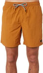 Globe Dana V 16.5" Poolshort Slips de Bain Homme, Ambre, 28