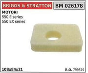 Filtre à Air Briggs & Stratton Tondeuse à Gazon Tondeuse 550 Et Ex Series