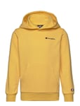 Champion Hooded Sweatshirt Gul