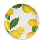 Epicurean Lemon Fresh Outdoor/Camping/Plastic/Melamine Dinner Plates set for 1