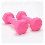 Shengluu Weights Dumbbells Sets Women Cast Iron Hex Dumbbell Exercise Weights For Core And Strength Training (Color : Pink, Size : 2kg*2)