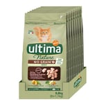 Ultima Nature No Grain Croquettes pour Chat Adulte non Stérilisé sans Céréales au Dinde: Pack 8 x 1,1 kg - Total: 8,8 kg