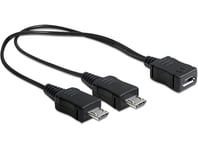 DELOCK – Cable USB micro B female > 2 x USB micro-B male 20 cm (65440)