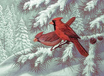 Royal & Langnickel PAL32 Peinture au numéro 11"x 15" Oiseaux Rouges Cardinalidae