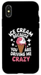 iPhone X/XS Ice Cream Because You Are Driving Me Crazy Case