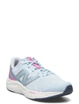 New Balance New Balance Freshfoam Arishi V4 Kids Lace Blå