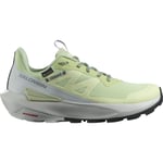 Salomon Elixir Activ GTX, Dame Green/Gray/Phantom 40 2/3