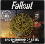 Fallout Brotherhood of Steel-mitalli