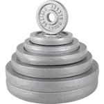 Viktskivor IRON Silver - 0,5kg-30kg