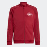 adidas Collegiate Graphic Pack SST Track Top Kids