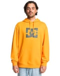 Dcshoes Pull DC Star PH Homme Orange XXL